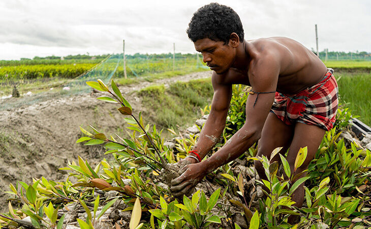 Meet the Indian communities that our tree-growing pledge is transforming